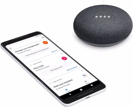 Google Nest Mini - Smart Speaker / Zwart / Nederlandstalig